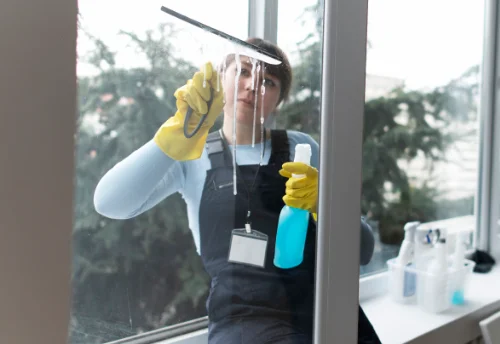 Nettoyage de vitres intérieures et extérieures à Meroux-Moval